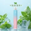 ILIA哩亞Bar4系列 6500口水果冰系拋棄式電子煙 13ml大容量替換設備 台灣現貨